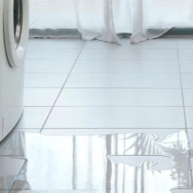 Appliance Leak Cleanup in Morenci, MI