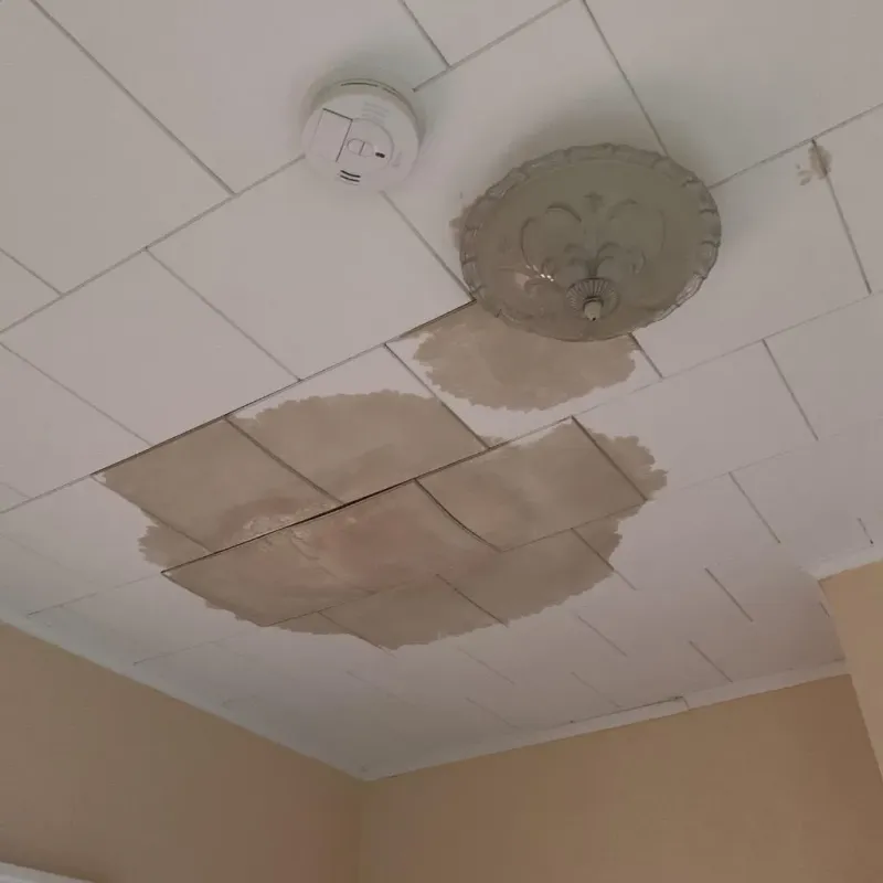 Ceiling Water Damage Repair in Morenci, MI property